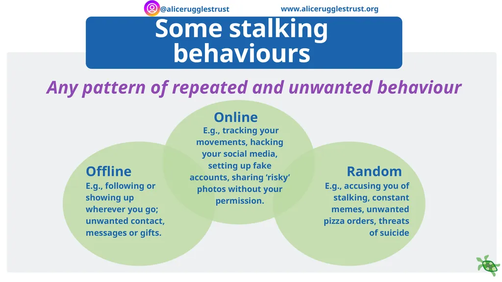 Recognising and Responding to Stalking - slide 10 of 16