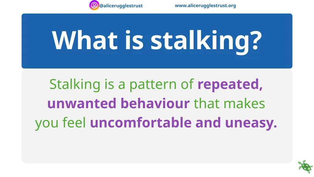 Recognising and Responding to Stalking - slide 4 of 16