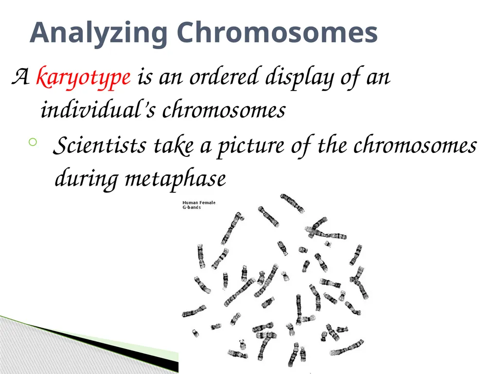 Analyzing Human Inheritance Pedigrees are graphic - slide 11 of 20