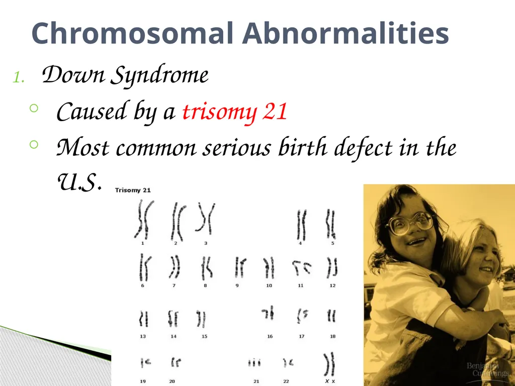 Analyzing Human Inheritance Pedigrees are graphic - slide 16 of 20