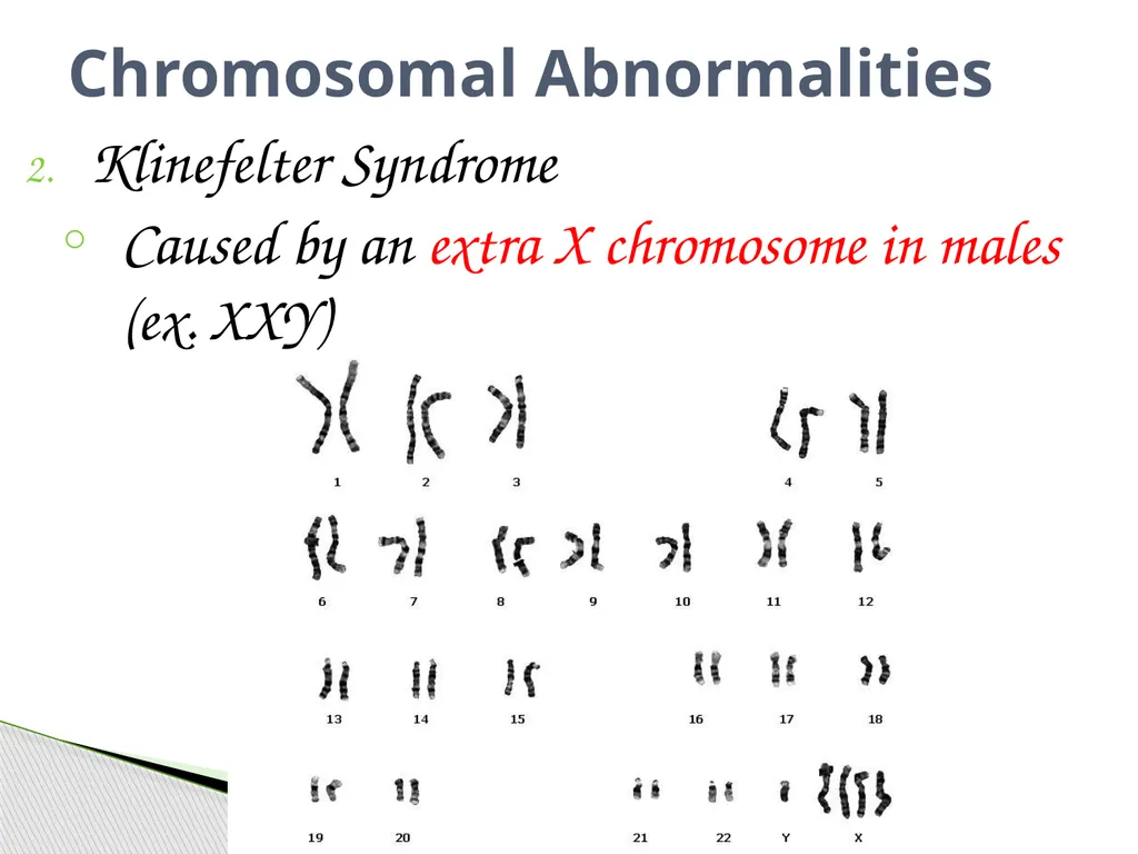 Analyzing Human Inheritance Pedigrees are graphic - slide 17 of 20