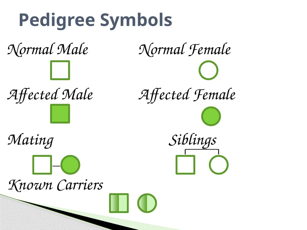 Analyzing Human Inheritance Pedigrees are graphic - slide 4 of 20