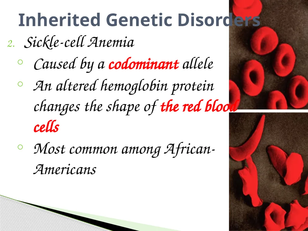 Analyzing Human Inheritance Pedigrees are graphic - slide 6 of 20