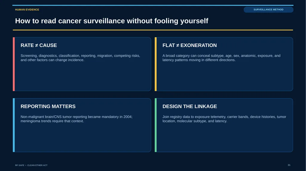 RF SAFE • FLAGSHIP EVIDENCE + POLICY DECK • AUGUST - slide 31 of 43