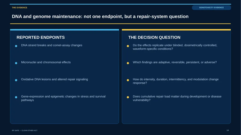 RF SAFE • FLAGSHIP EVIDENCE + POLICY DECK • AUGUST - slide 14 of 43