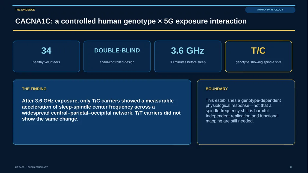 RF SAFE • FLAGSHIP EVIDENCE + POLICY DECK • AUGUST - slide 16 of 43