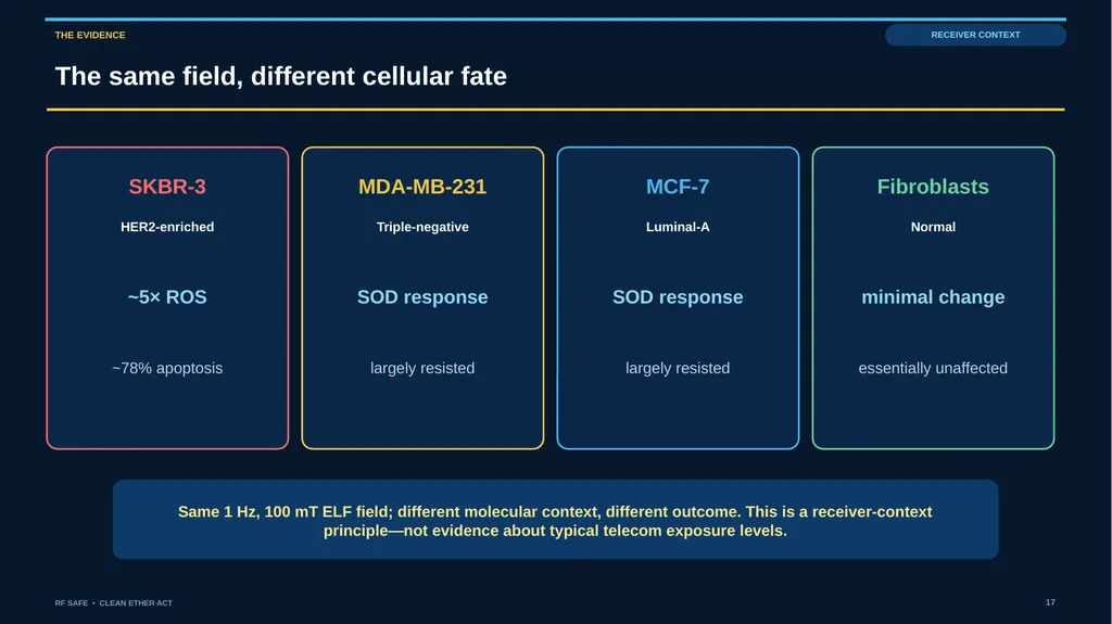 RF SAFE • FLAGSHIP EVIDENCE + POLICY DECK • AUGUST - slide 17 of 43