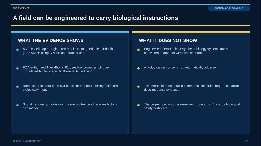 RF SAFE • FLAGSHIP EVIDENCE + POLICY DECK • AUGUST - slide 18 of 43