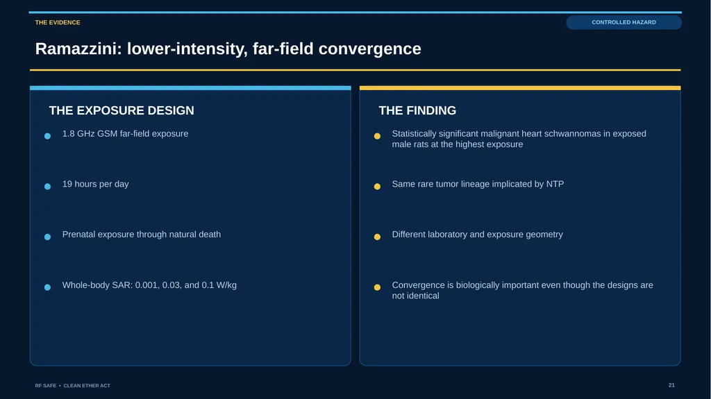 RF SAFE • FLAGSHIP EVIDENCE + POLICY DECK • AUGUST - slide 21 of 43