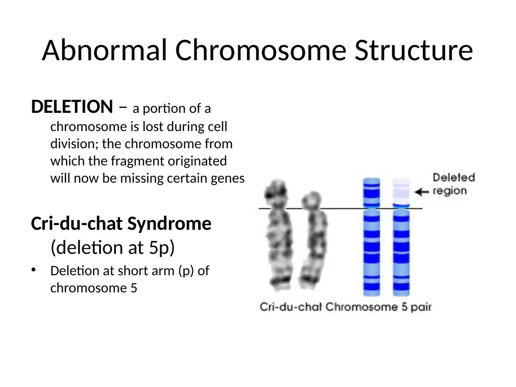 Chromosomal Aberrations Chromosomes contain units - slide 15 of 21