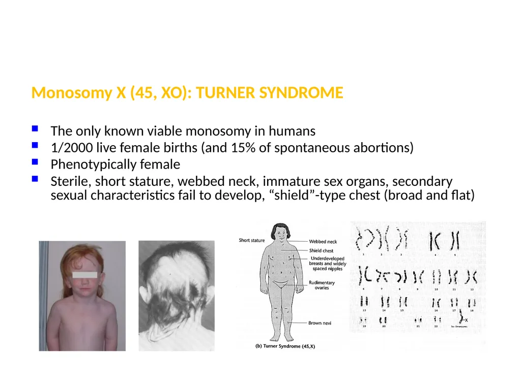 Chromosomal Aberrations Chromosomes contain units - slide 11 of 21