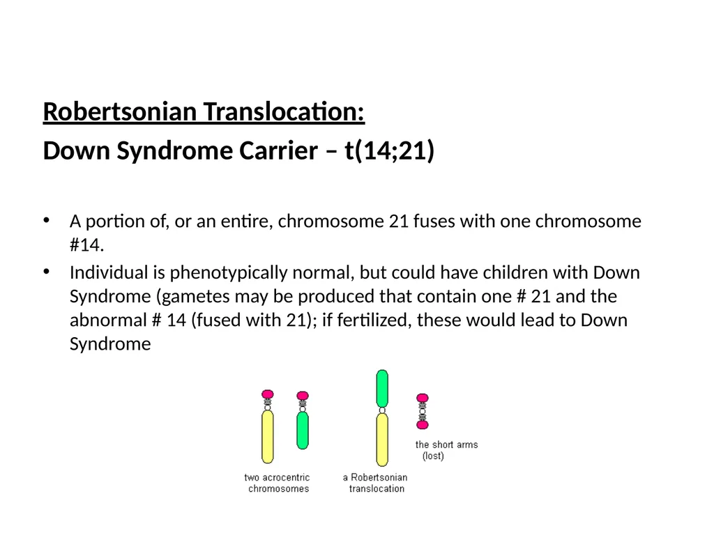 Chromosomal Aberrations Chromosomes contain units - slide 20 of 21