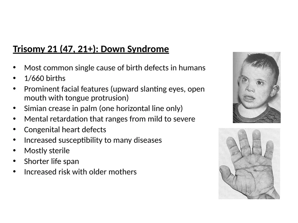 Chromosomal Aberrations Chromosomes contain units - slide 7 of 21