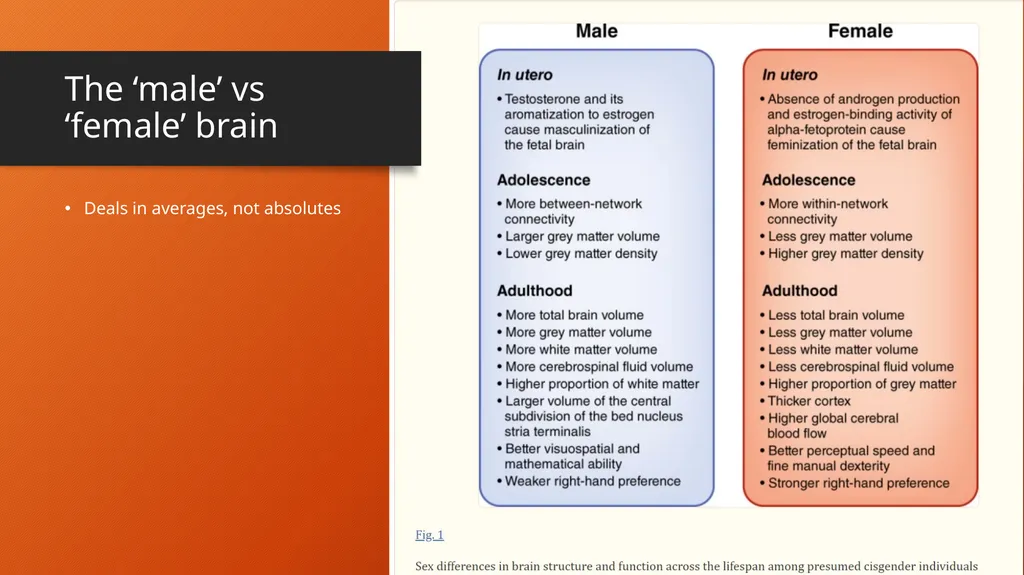 Transgender support 102 (for non-therapists) - slide 16 of 62