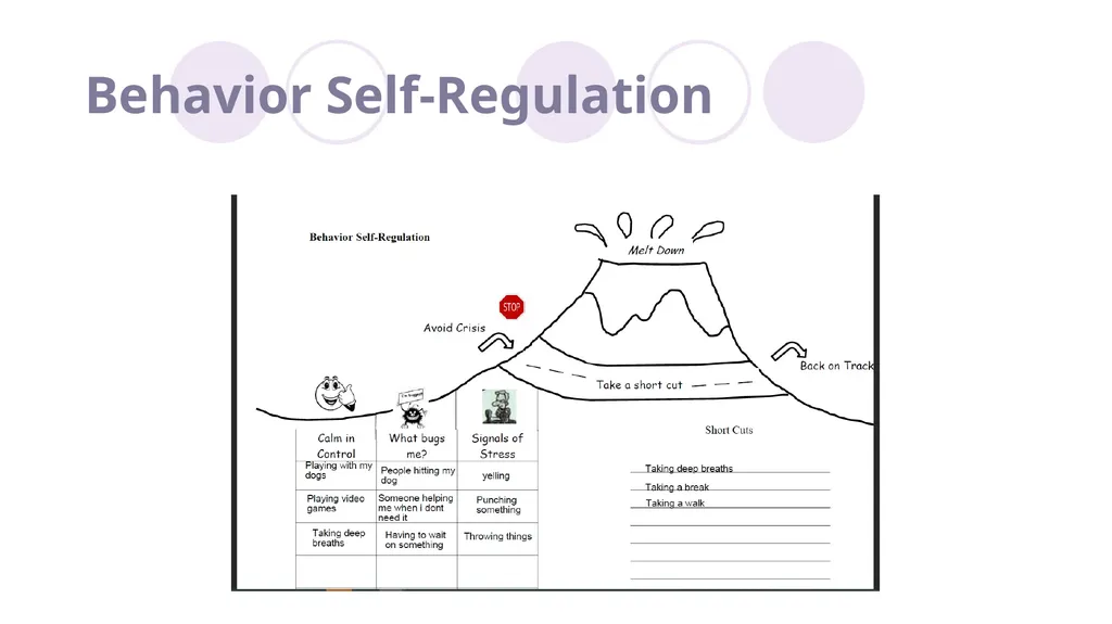 Biopsychosocial approach for serving individuals - slide 44 of 62