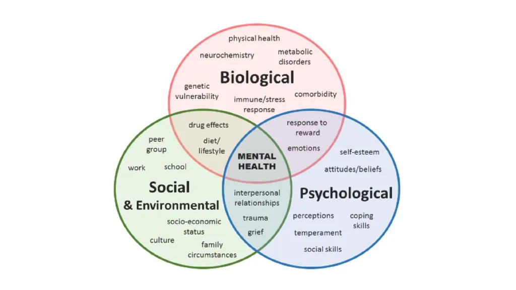 Biopsychosocial approach for serving individuals - slide 24 of 62