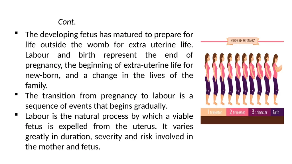 Normal Labour Introduction The usual duration of - slide 3 of 39