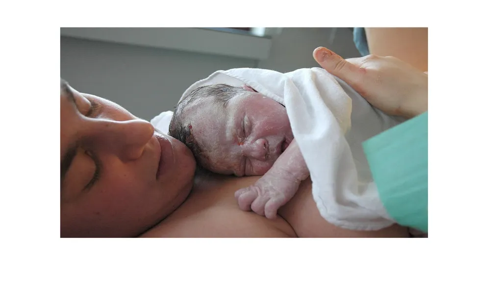 Normal Labour Introduction The usual duration of - slide 36 of 39