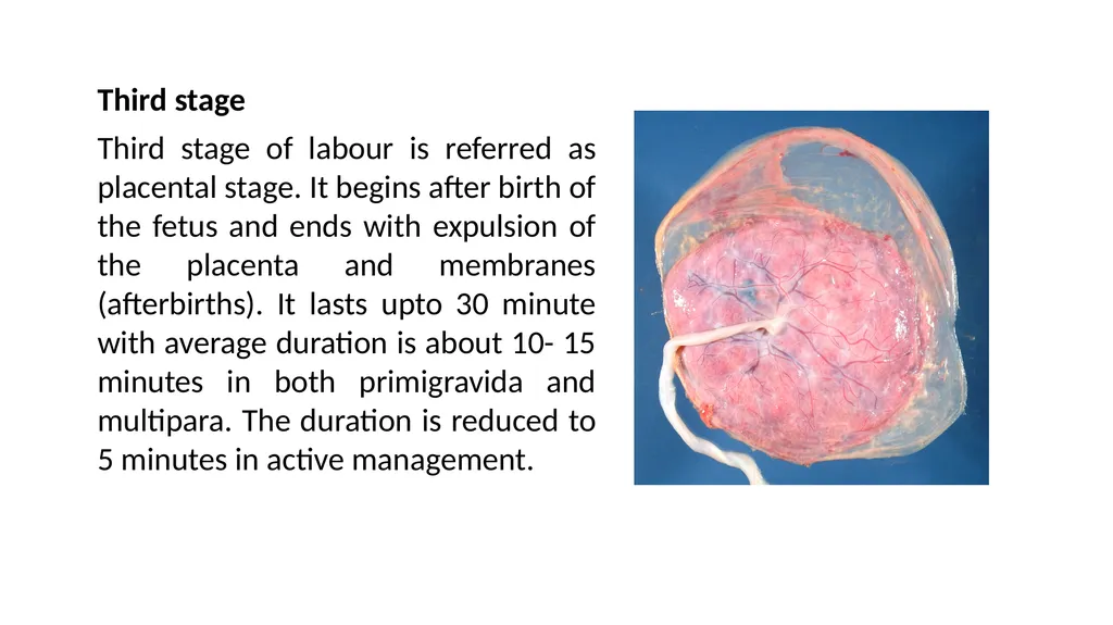 Normal Labour Introduction The usual duration of - slide 38 of 39