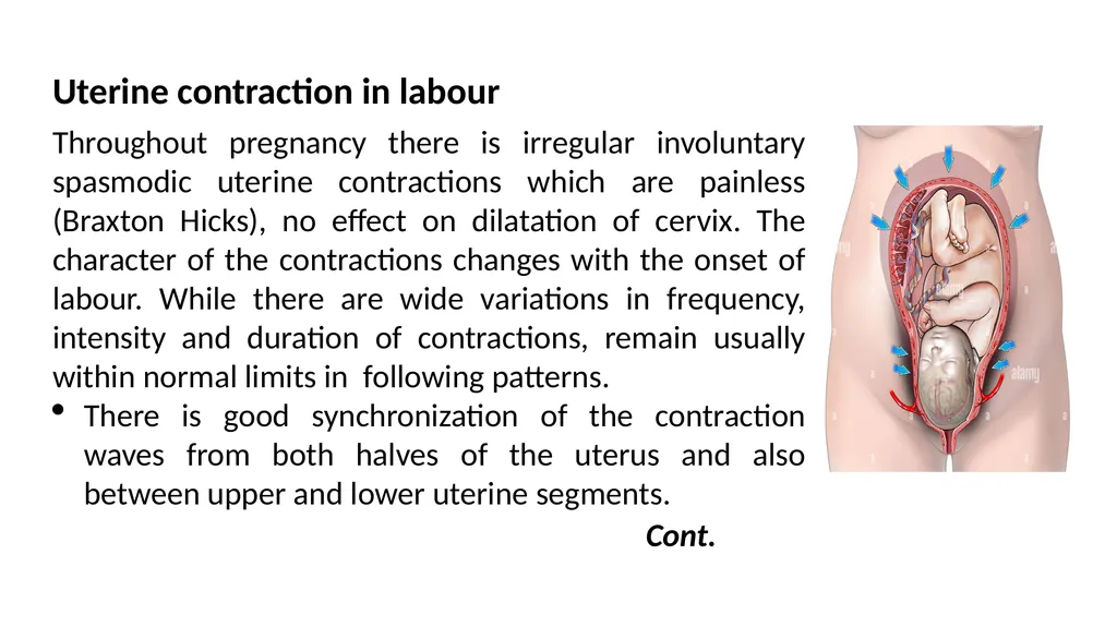 Normal Labour Introduction The usual duration of - slide 16 of 39