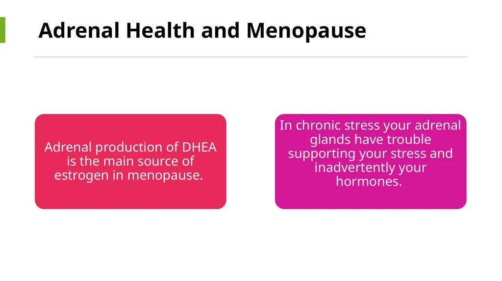 Menopause an Integrative Approach Deidre Arms, - slide 17 of 50