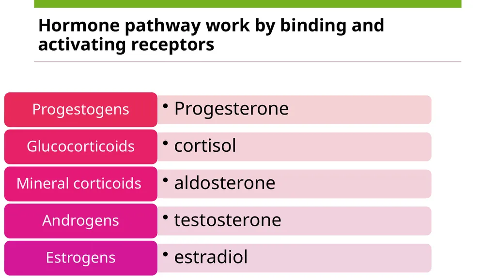 Menopause an Integrative Approach Deidre Arms, - slide 8 of 50