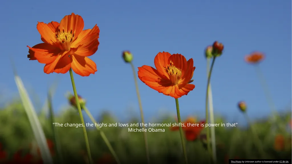 Menopause an Integrative Approach Deidre Arms, - slide 49 of 50