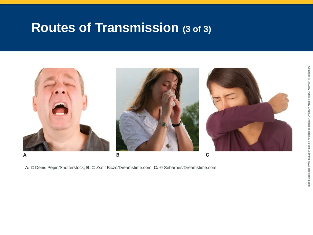 Workforce Safety and Wellness CHAPTER 2: Focused - slide 11 of 65