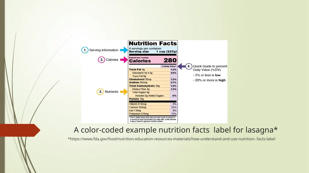 Safety, Health, and Nutrition in Early Childhood - slide 21 of 23
