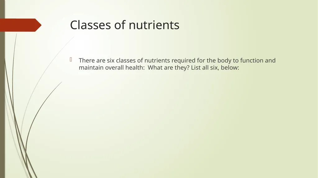 Safety, Health, and Nutrition in Early Childhood - slide 5 of 23