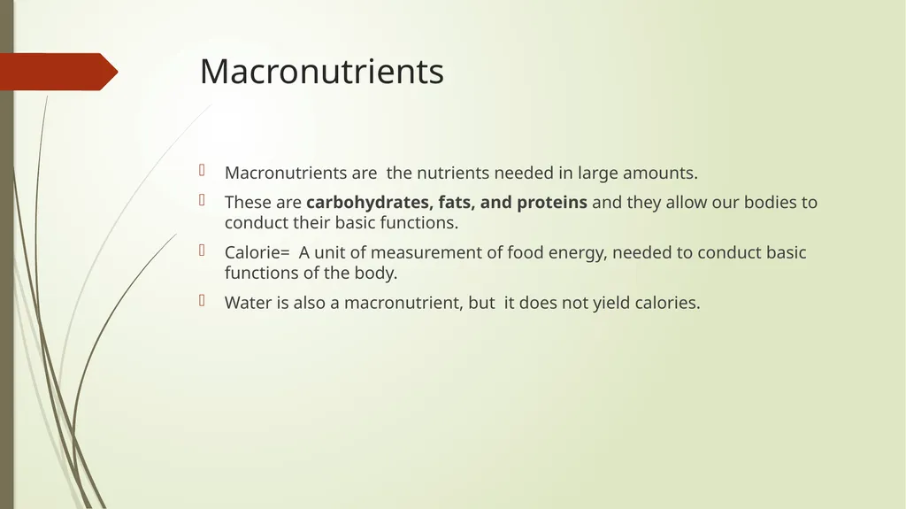 Safety, Health, and Nutrition in Early Childhood - slide 6 of 23
