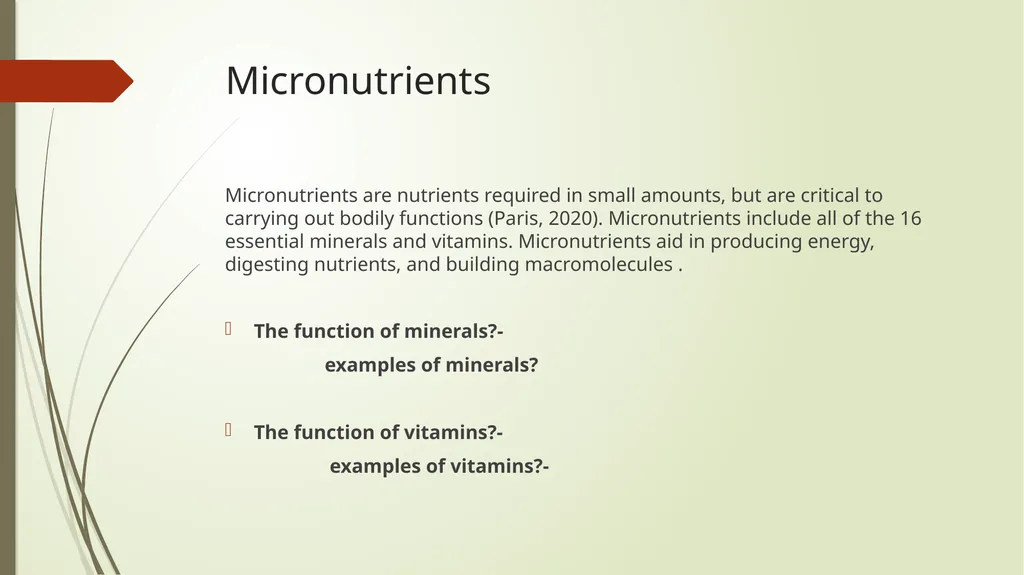 Safety, Health, and Nutrition in Early Childhood - slide 11 of 23