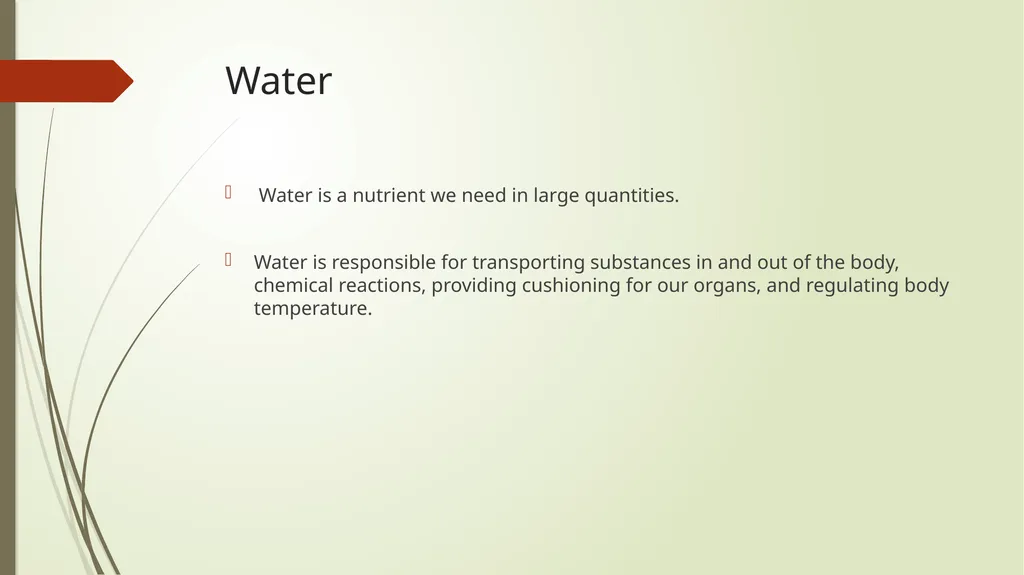 Safety, Health, and Nutrition in Early Childhood - slide 10 of 23