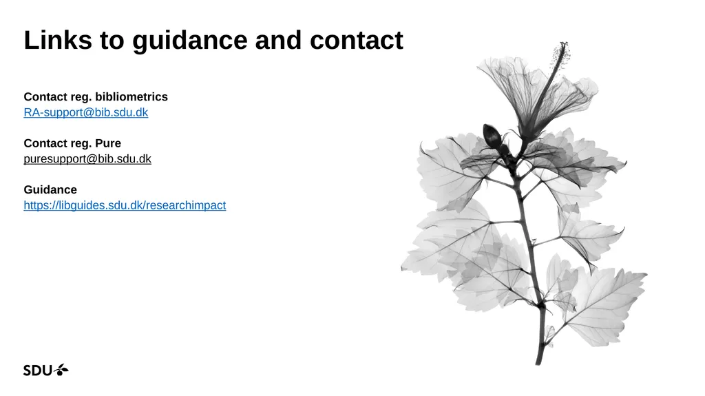 Research Impact report (bibliometrics) 2023-2025 - slide 9 of 16