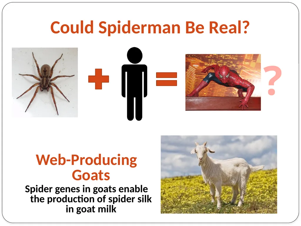 Genetic Engineering What is the difference between - slide 14 of 16