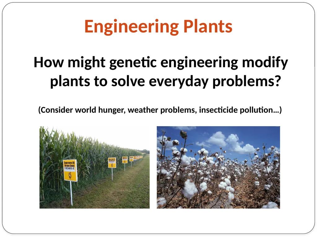 Genetic Engineering What is the difference between - slide 7 of 16
