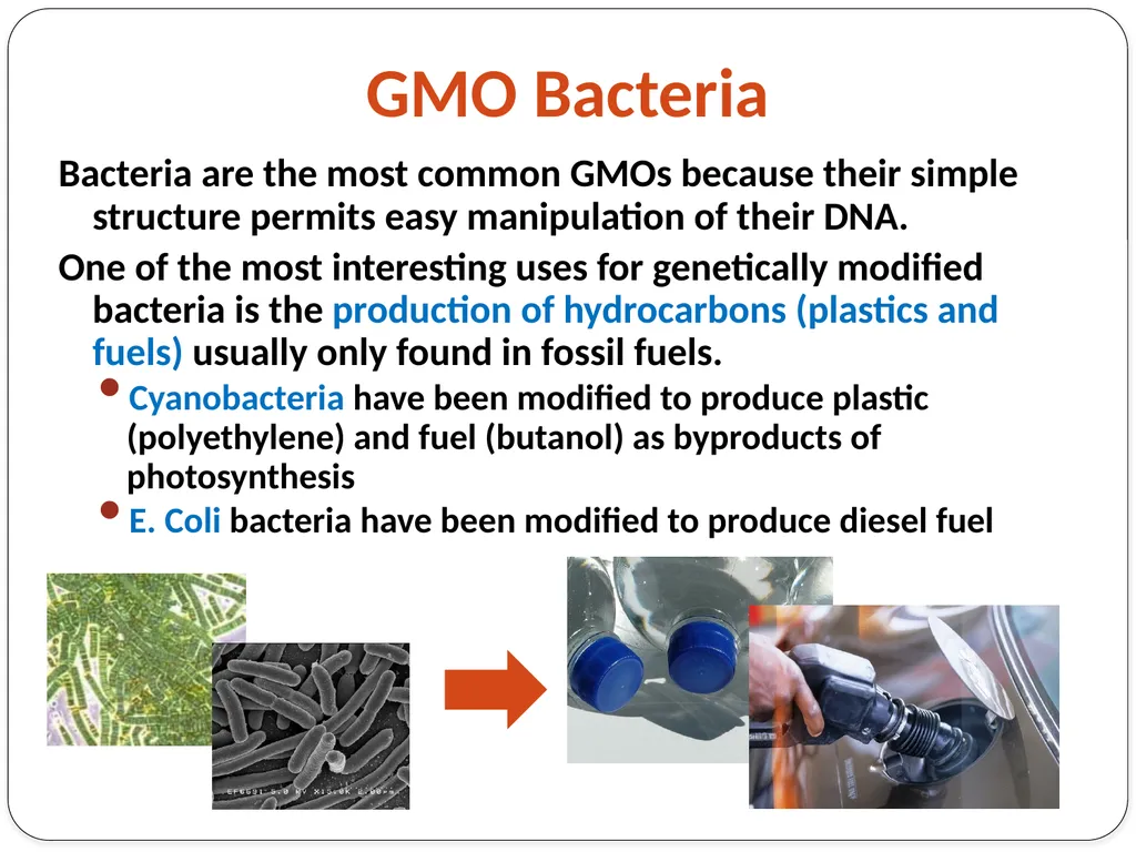 Genetic Engineering What is the difference between - slide 6 of 16