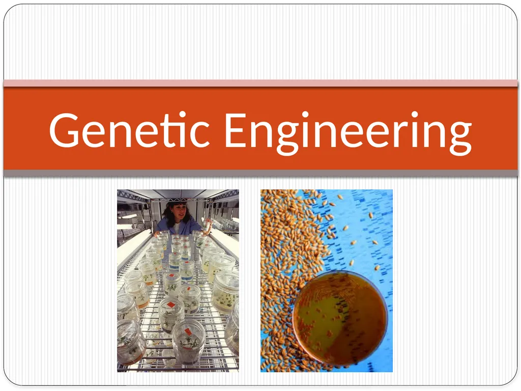 Genetic Engineering What is the difference between - slide 1 of 16