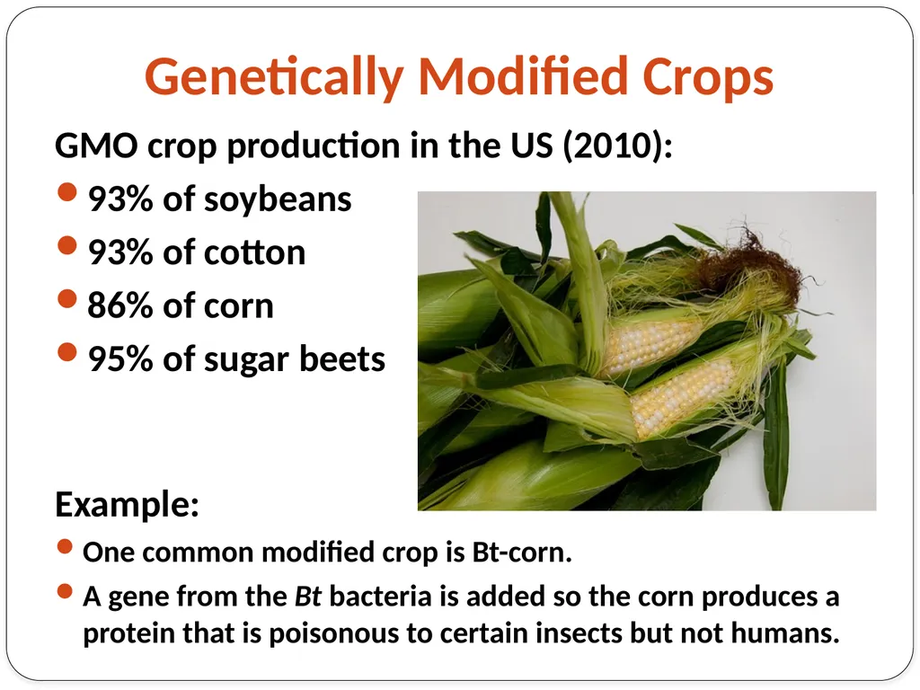 Genetic Engineering What is the difference between - slide 8 of 16