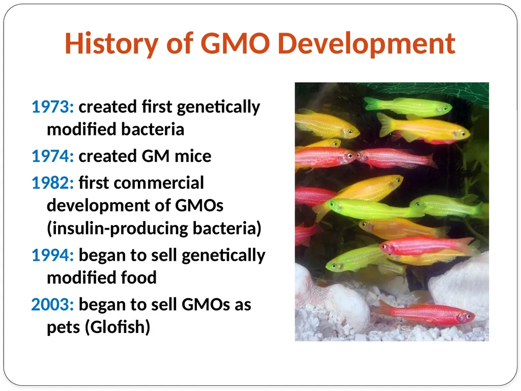 Genetic Engineering What is the difference between - slide 4 of 16