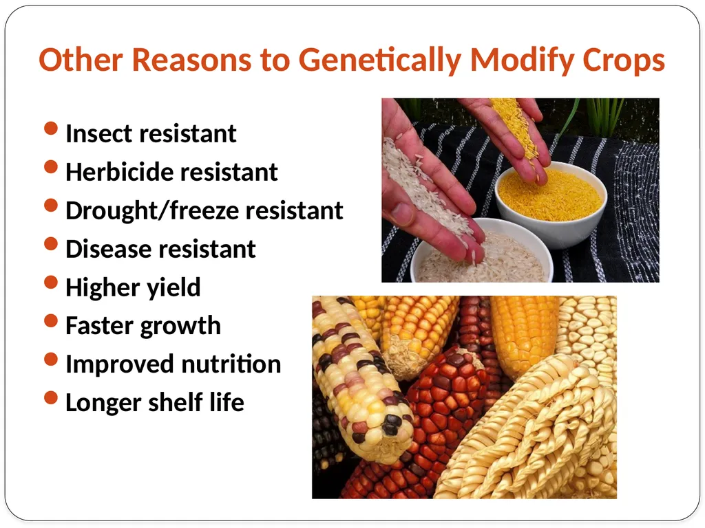 Genetic Engineering What is the difference between - slide 10 of 16