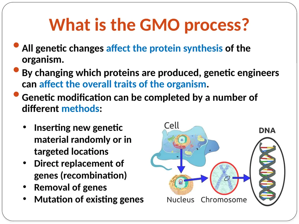 Genetic Engineering What is the difference between - slide 5 of 16