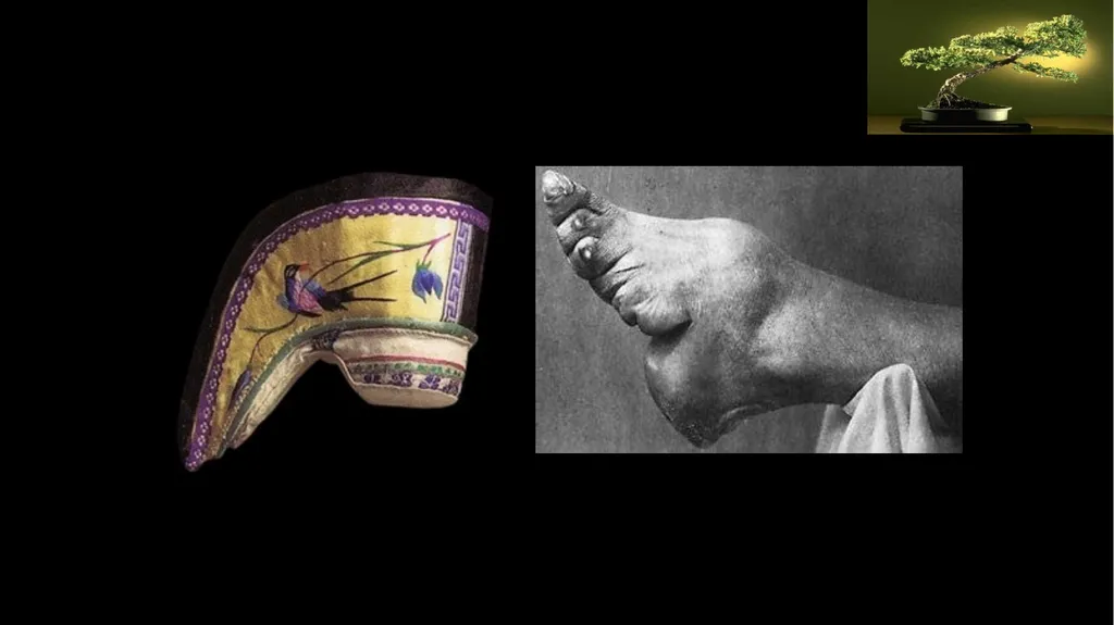Reunification and Renaissance in Chinese - slide 29 of 30
