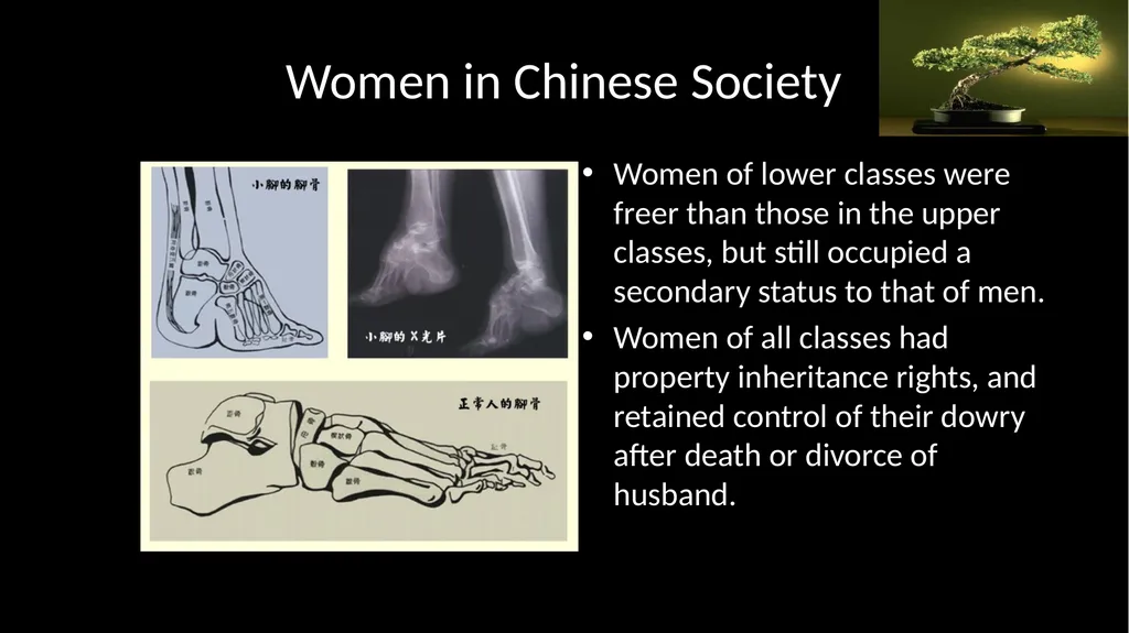 Reunification and Renaissance in Chinese - slide 28 of 30