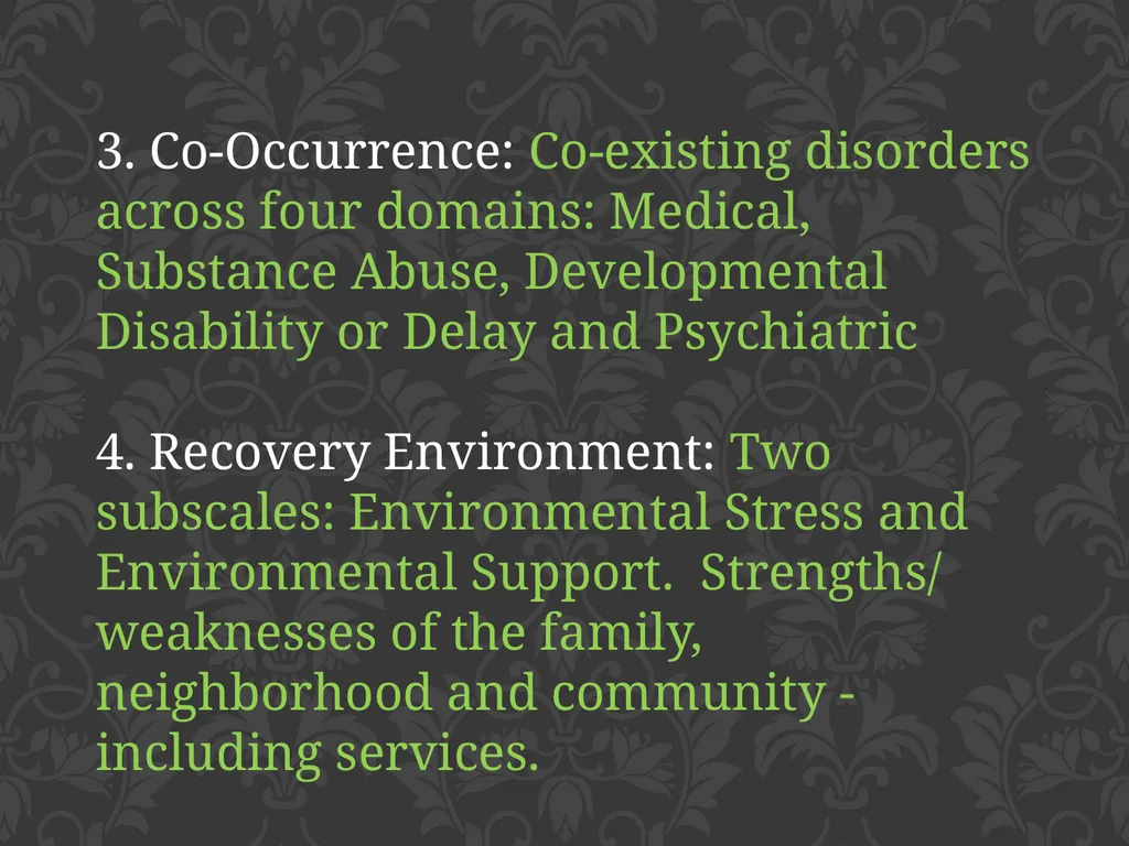 child adolescent service intensity instrument - slide 10 of 52