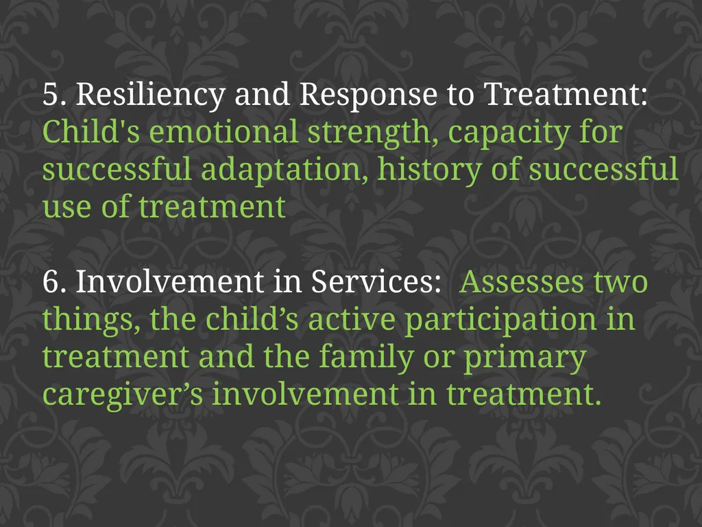 child adolescent service intensity instrument - slide 11 of 52