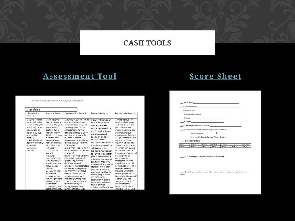 child adolescent service intensity instrument - slide 19 of 52