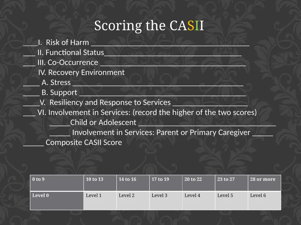 child adolescent service intensity instrument - slide 12 of 52
