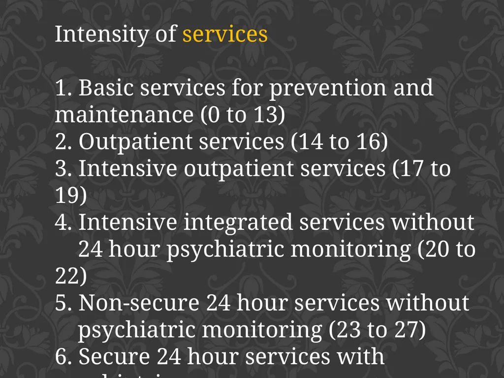 child adolescent service intensity instrument - slide 13 of 52