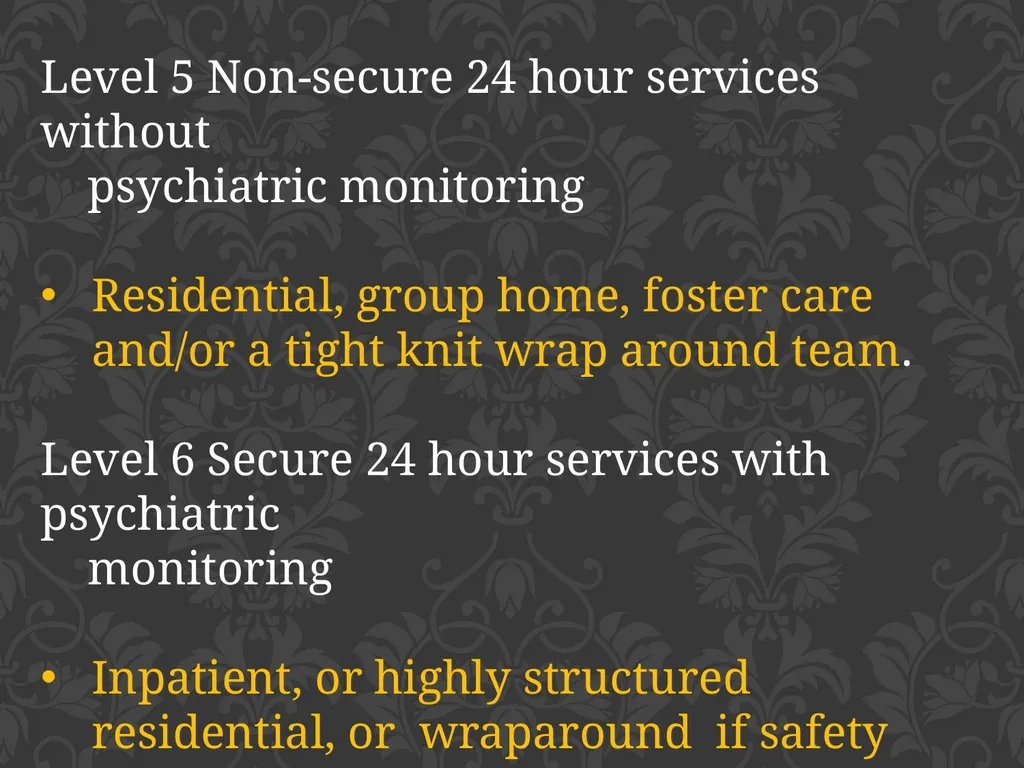child adolescent service intensity instrument - slide 18 of 52